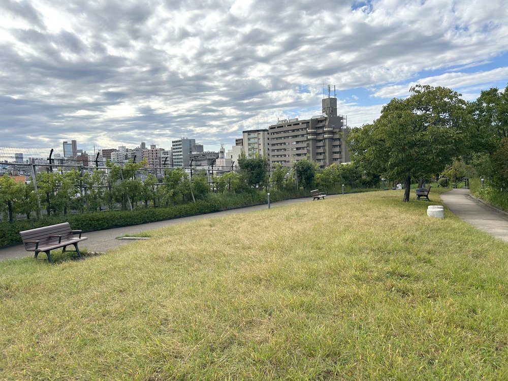 目黒天空庭園の芝生とベンチ
